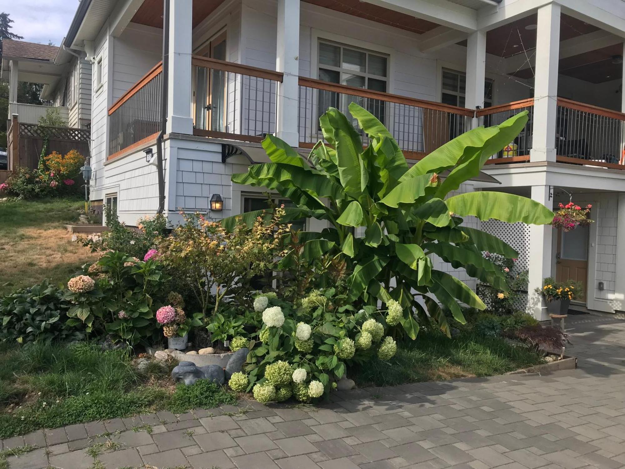 Holland Villa Vancouver ニューウエストミンスター エクステリア 写真